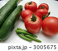 夏野菜 3005675