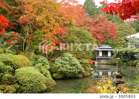 紅葉　（輪王寺・逍遥園） 3005803