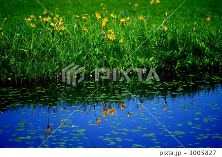 夏の水辺 3005827