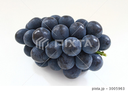 ピオーネ 3005963