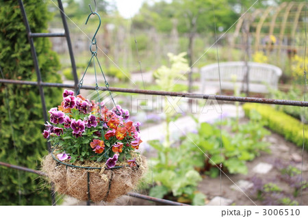 庭先にかかっているハンギングプランター ガーデニング 庭先にかかっているハンギングプランター ガーデニング 3006510