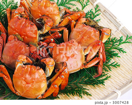 茹でたモクズガニ 3007428
