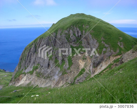 礼文島 3007836