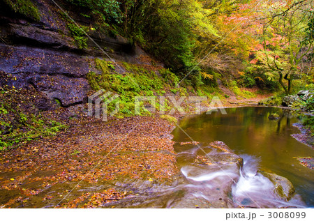 渓谷の岩盤と紅葉と落葉 3008099