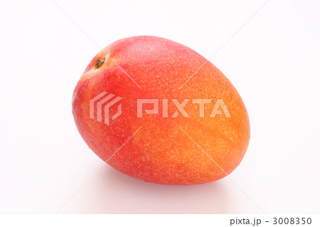 アップルマンゴー(アーウィン種) アップルマンゴー(アーウィン種) 3008350