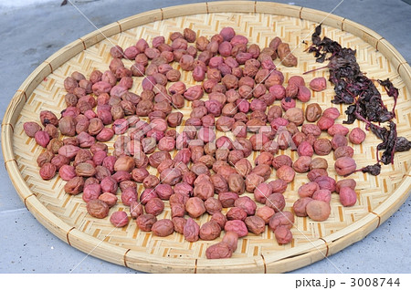 梅干し 手作り 天日干し 3008744