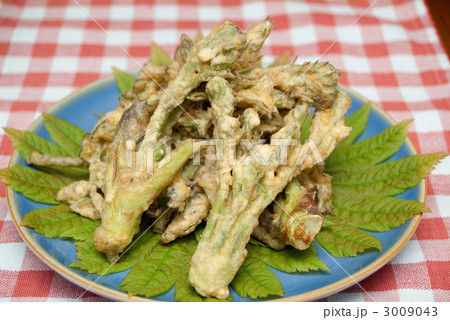 山菜天ぷら 3009043