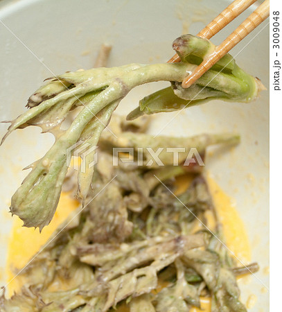 山菜天ぷら 3009048