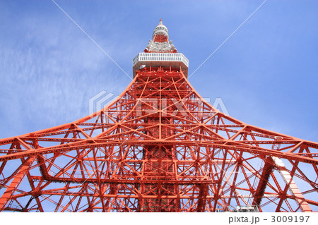 東京タワー 3009197