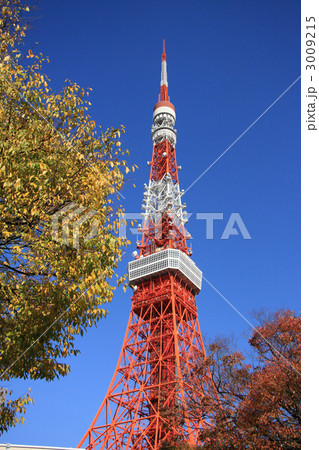 東京タワー 3009215