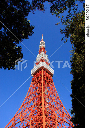 東京タワー 3009217