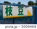 枝豆 3009468