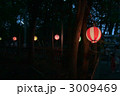提灯 3009469