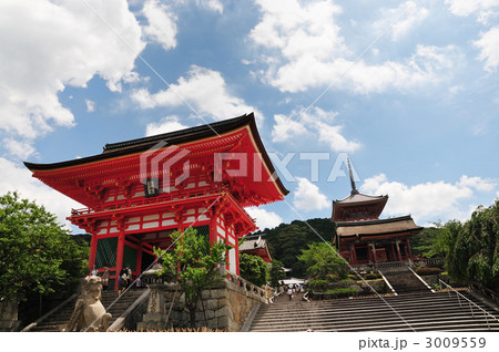 清水寺と三重塔 3009559