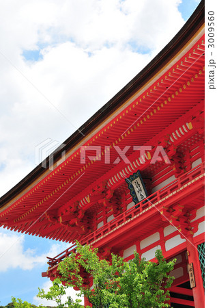 清水寺仁王門 3009560