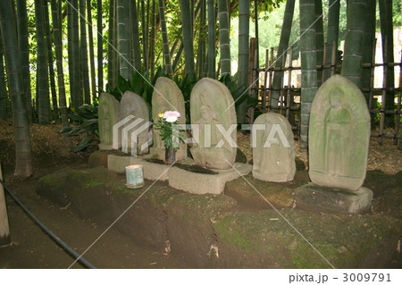 美しい竹の庭が有名な報国寺を訪れて 3009791