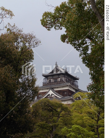広島城 3009922