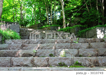木漏れ日の階段 3010749