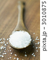 天然岩塩 3010875