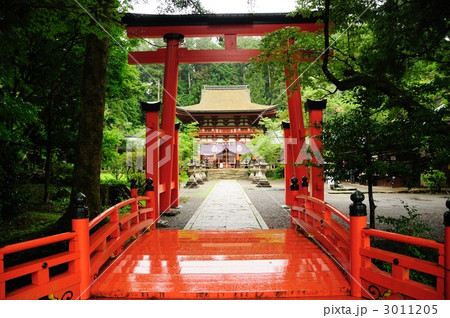 丹生都比売神社 3011205