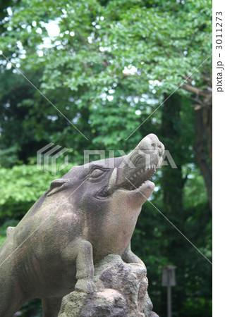 護王神社の狛猪2 護王神社の狛猪2 3011273