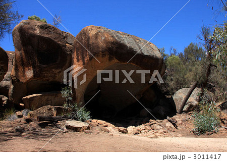 オーストラリア・カバのあくび 3011417