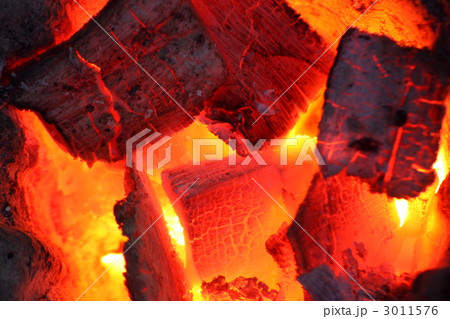 黒炭の炎 3011576
