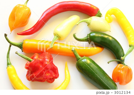 カラフル唐辛子 3012134