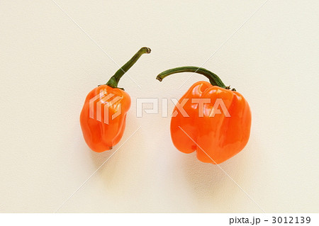 ハバネロ 3012139