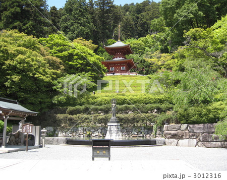 勝尾寺　観音菩薩と多宝塔 3012316