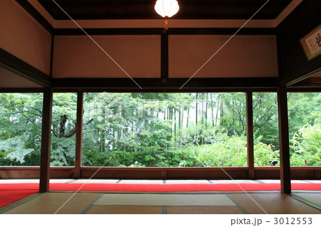 宝泉院の「額縁の庭園」 3012553