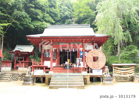 銭神様の聖神社 3013179