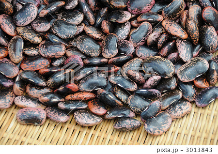 花豆 花豆 3013843