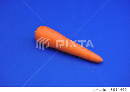 人参 人参 3014446