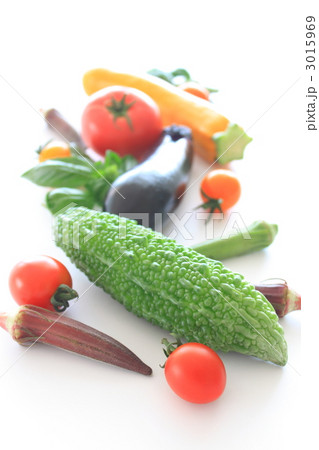 野菜　夏野菜　カラフル 3015969