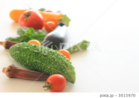 野菜　夏野菜　カラフル 3015970