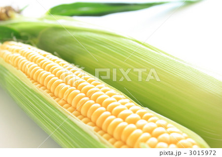 とうもろこし　味来　 3015972