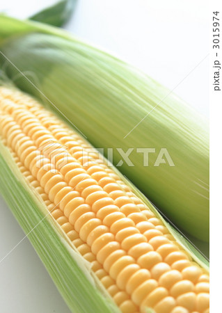とうもろこし　味来　 3015974