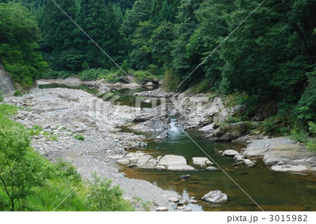 夏の早出川渓谷 3015982