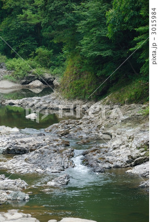 夏の早出川渓谷 3015984