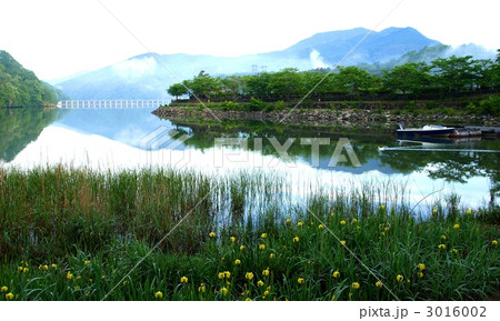 恵那峡のさざなみ公園、岐阜県 3016002