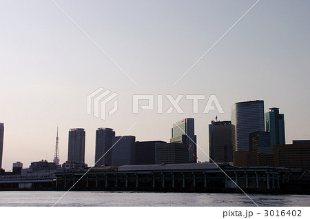隅田川と東京タワーとビル群 3016402
