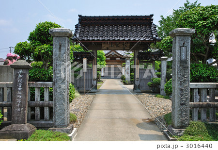 鶴岡散歩・保春寺 鶴岡散歩・保春寺 3016440