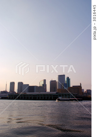 隅田川と東京タワーとビル群 3016445