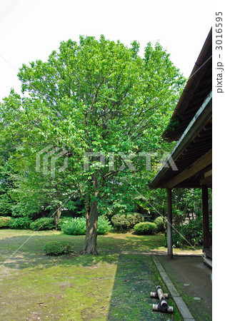 鶴岡散歩・無量光苑　釈迦堂　（風間家旧別邸） 3016595