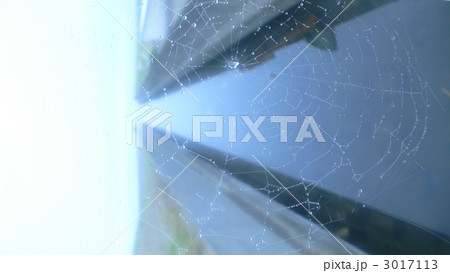 雨上がりのクモの巣にしずく 3017113