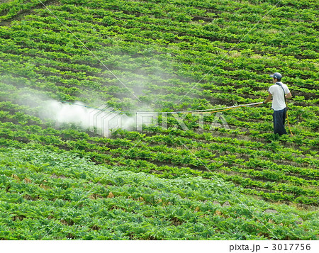 農薬散布 3017756