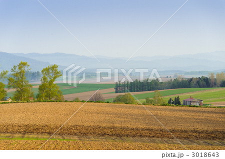 北西の丘 3018643