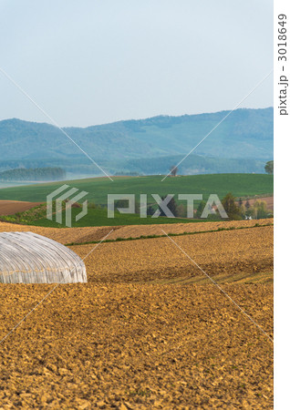 北西の丘 3018649