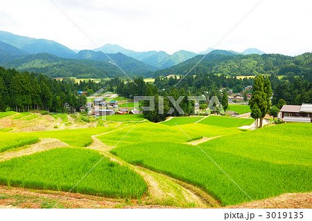 三条市北五百川の棚田 三条市北五百川の棚田 3019135